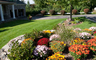 well irrigated garden in Dublin California